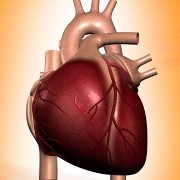 Heart Conditions related image